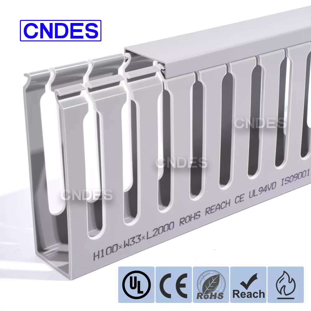 100 × 33 serverio stovo kabelių valdymas